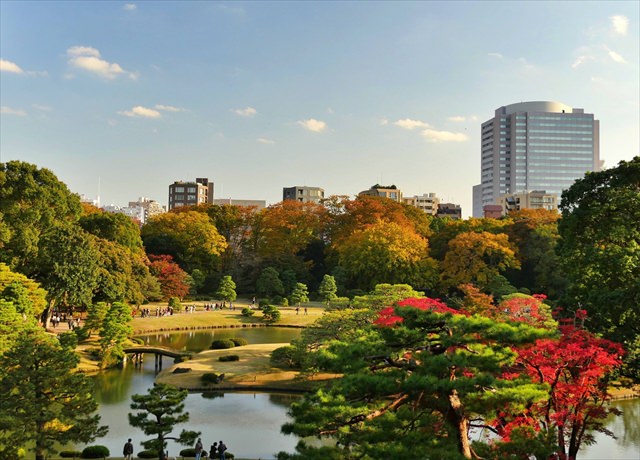 東京都内のデートにおすすめの公園35選 穴場スポットも満載 デート日和